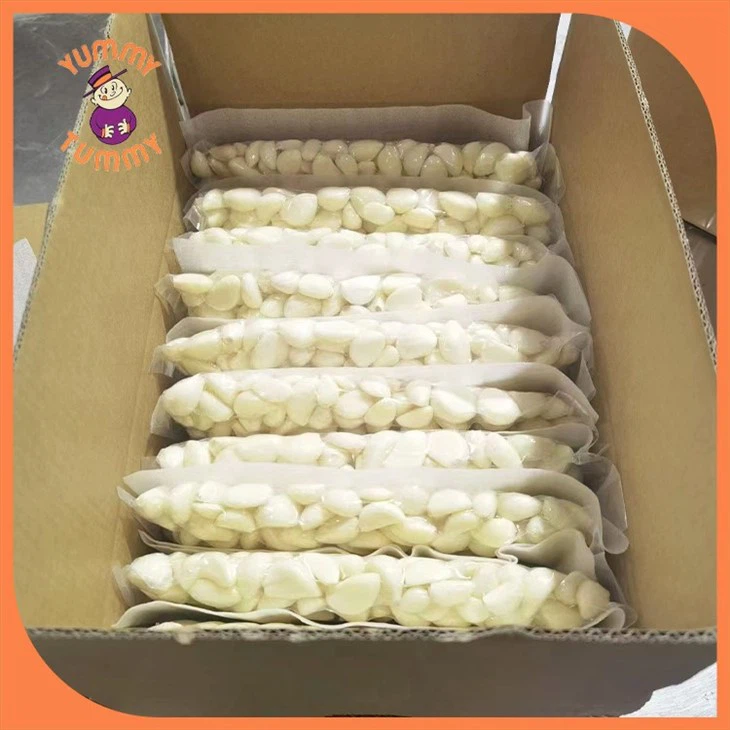 peeled-fresh-garlic-in-carton
